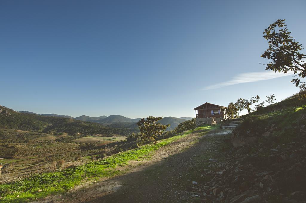 La Brizna Guest House Canamero Room photo